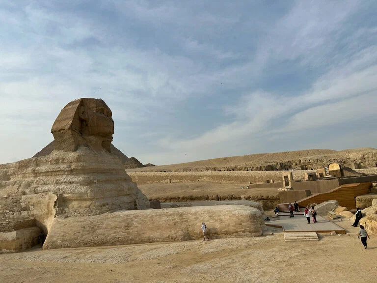 Фото организации