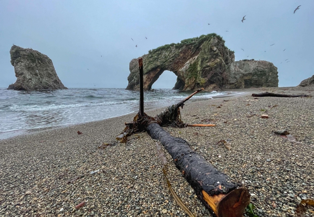 Фото организации