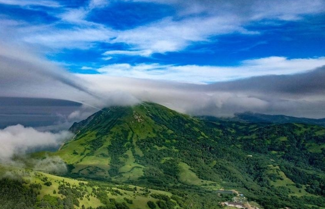 Фото организации