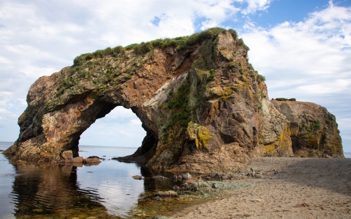 Фото организации