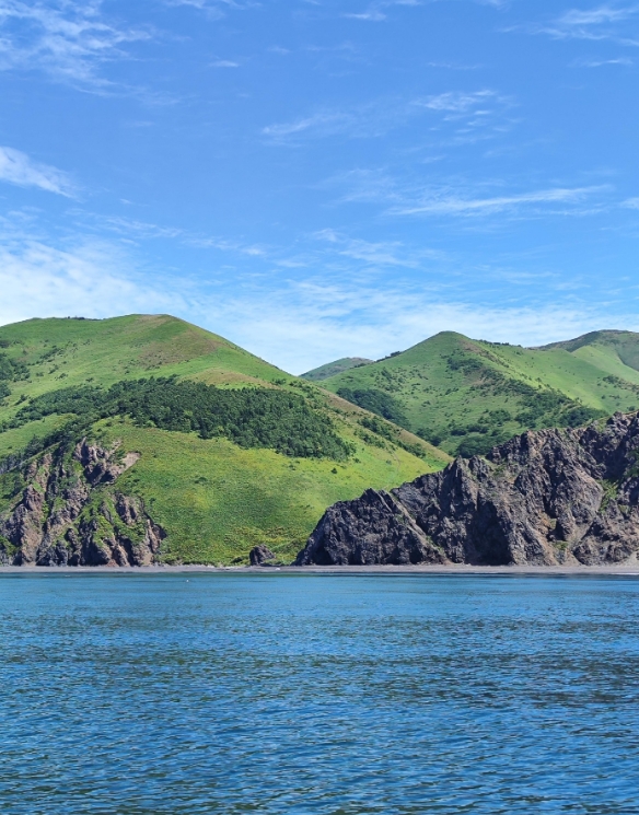 Фото организации