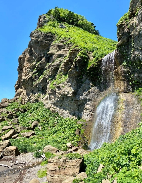 Фото организации