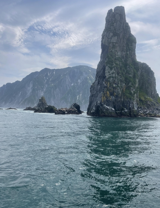 Фото организации