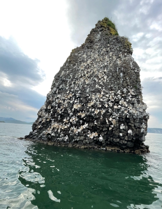 Фото организации