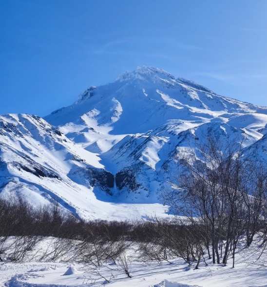 Фото организации