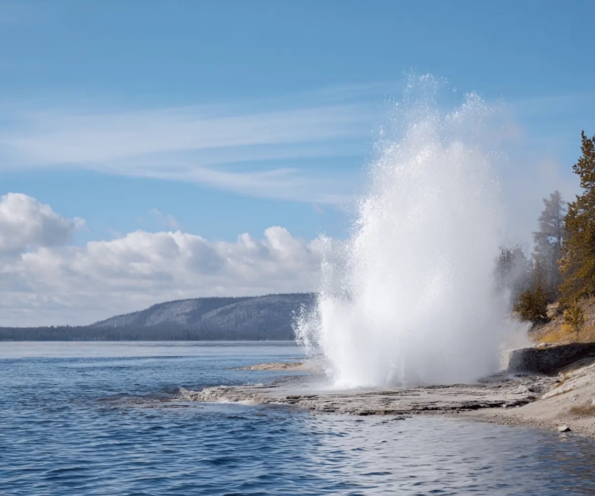 Фото организации