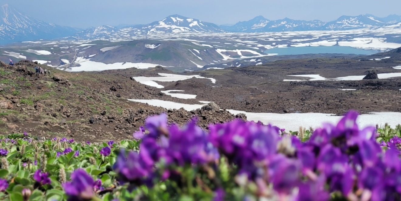Фото организации