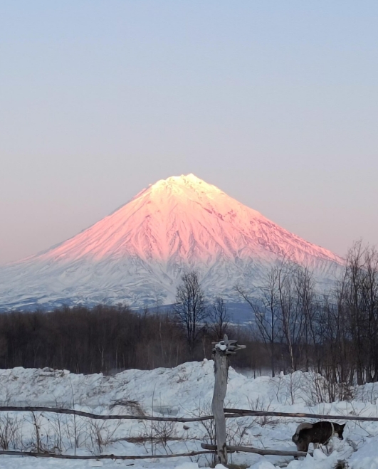Фото организации