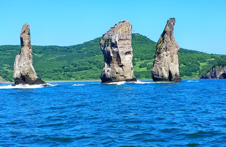 Фото организации