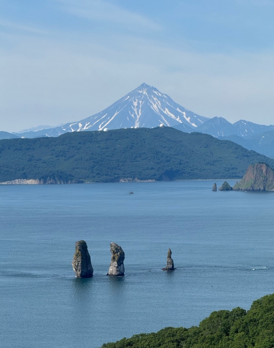 Фото организации