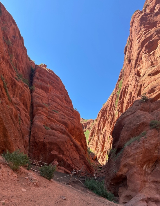 Фото организации