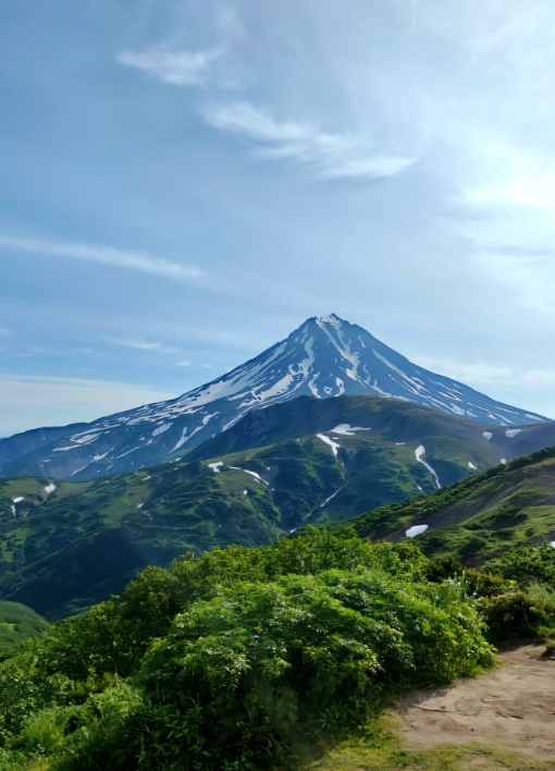 Фото организации