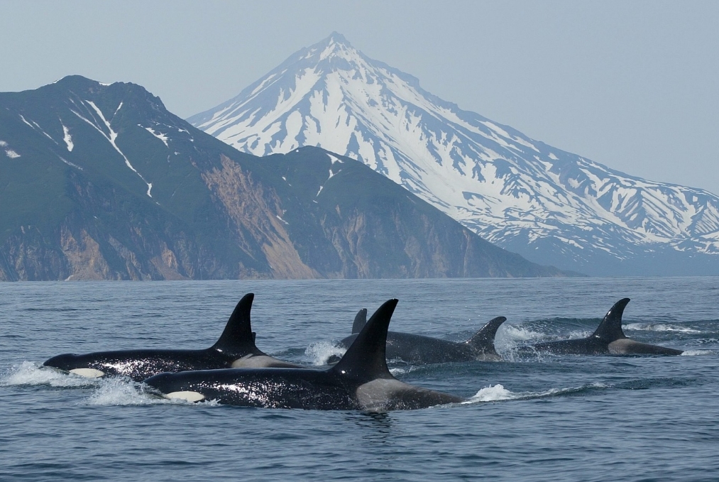 Фото организации