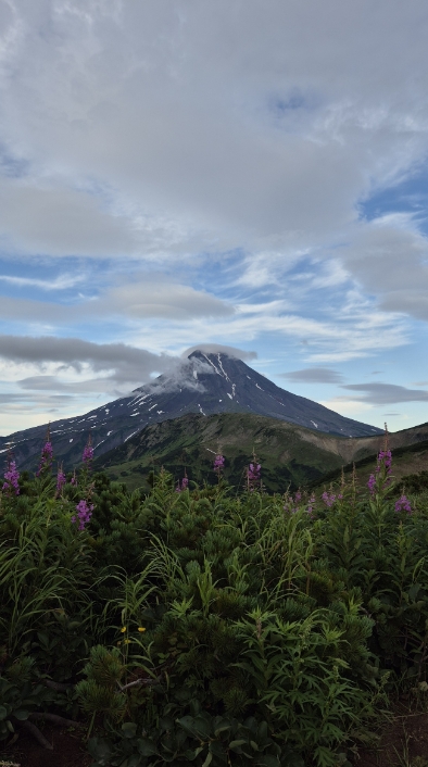 Фото организации