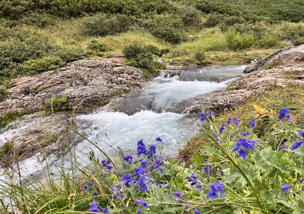 Фото организации
