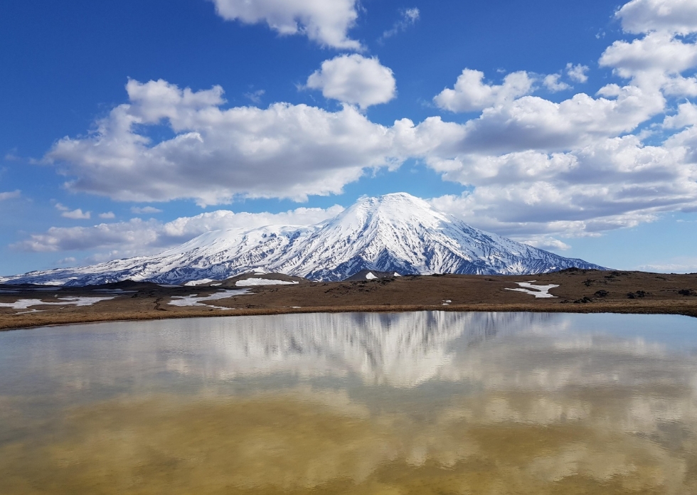 Фото организации