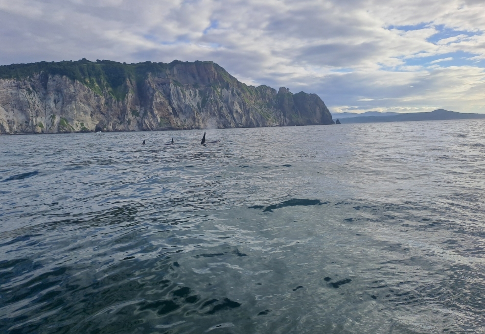 Фото организации