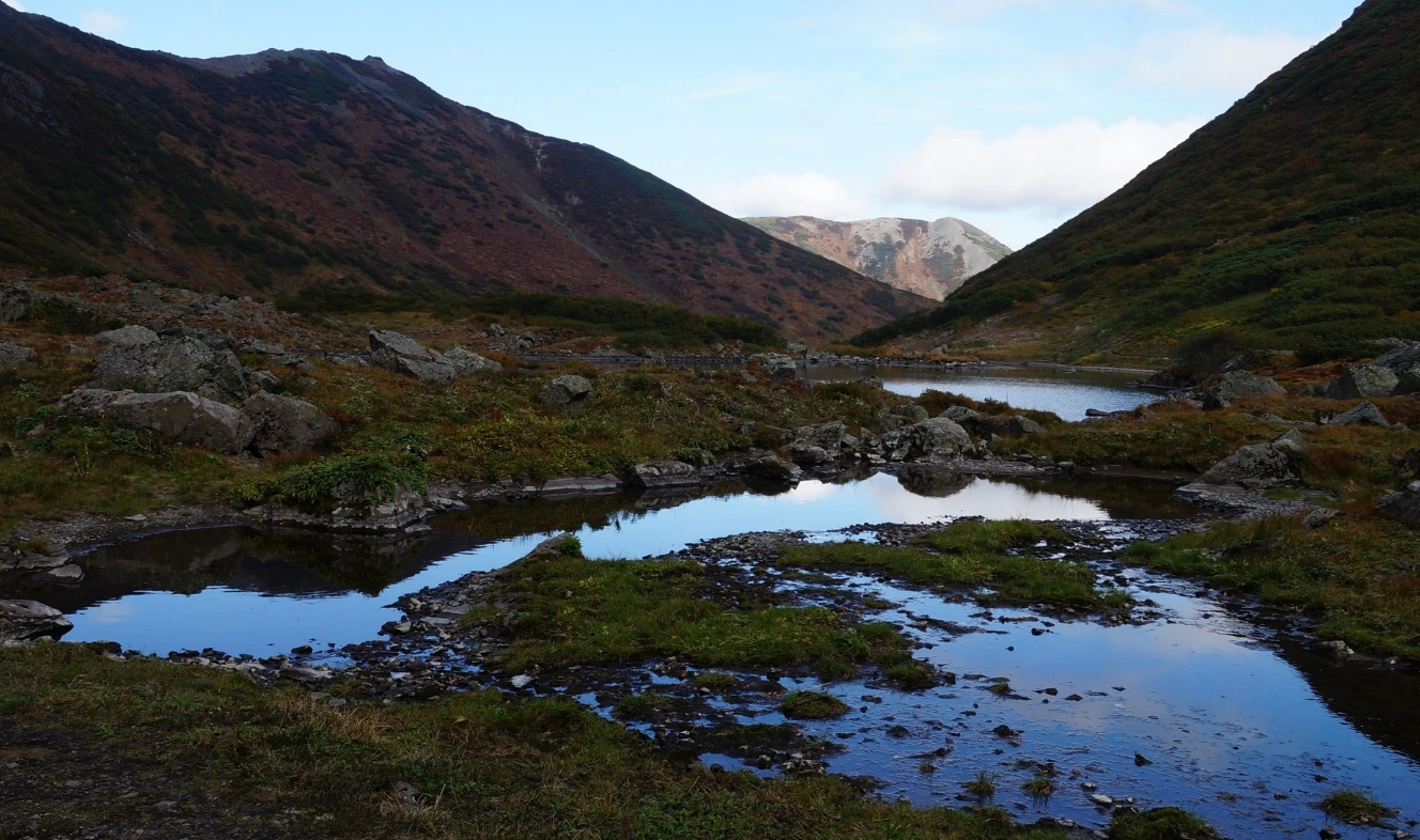 Фото организации