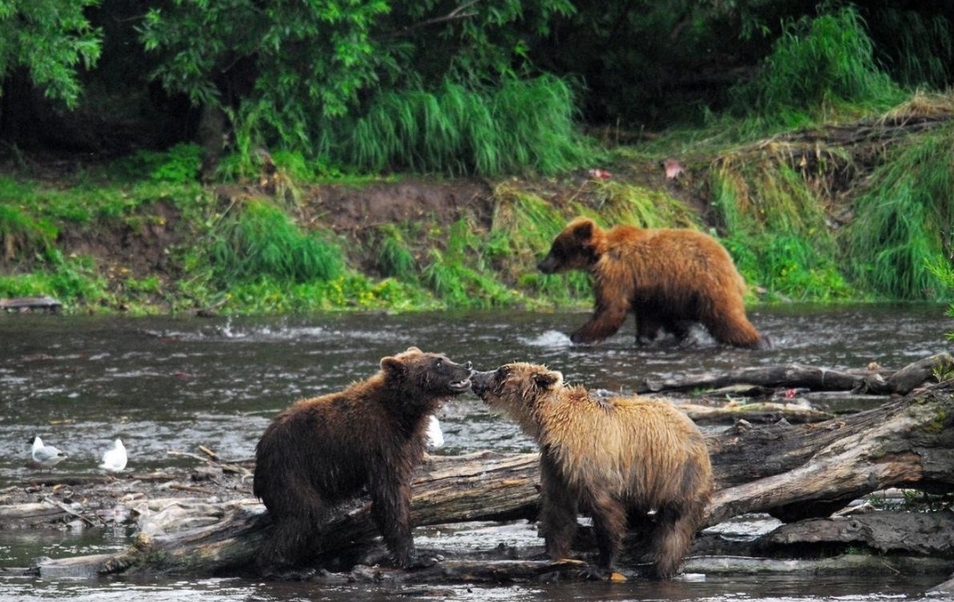Фото организации