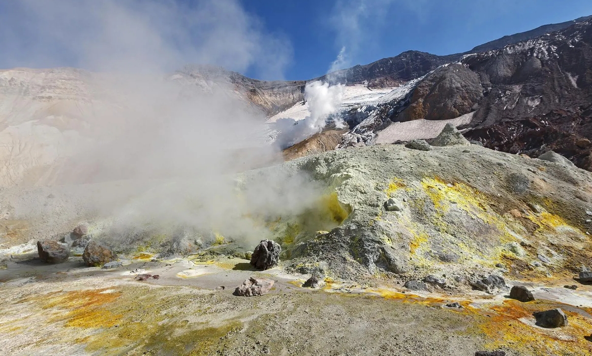 Фото организации