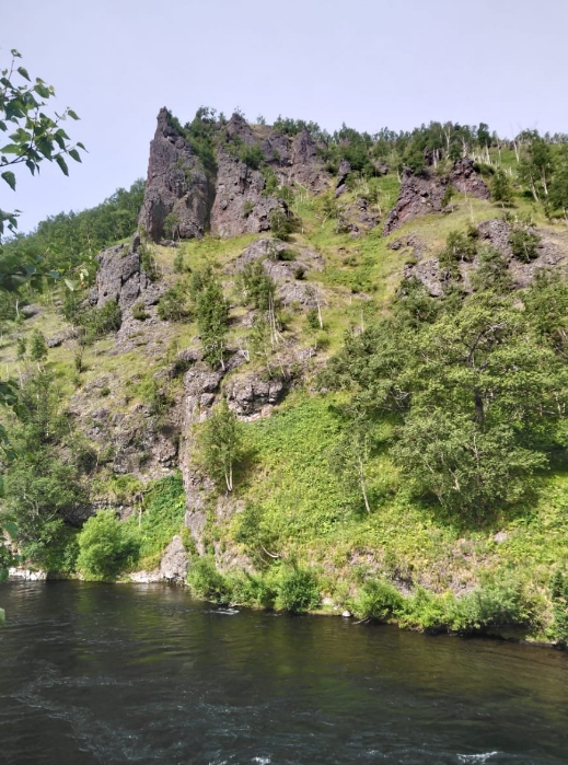 Фото организации