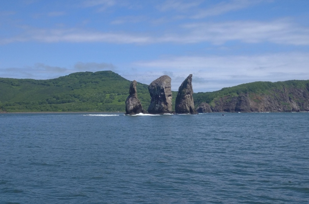 Фото организации