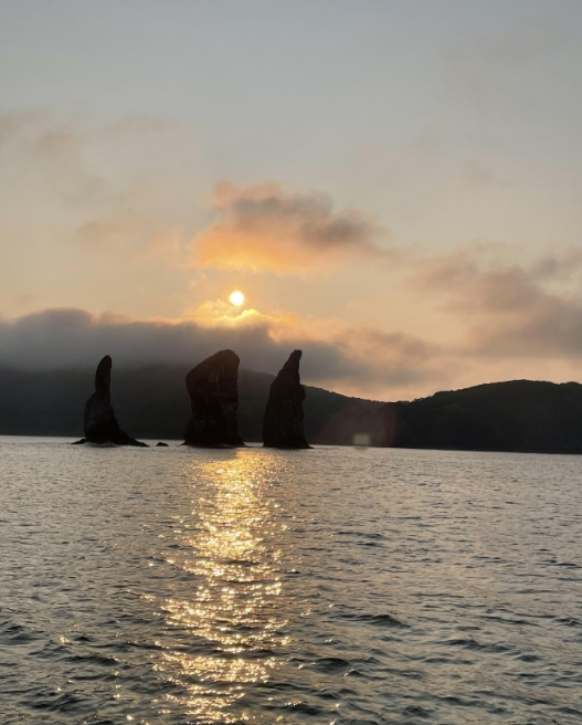 Фото организации