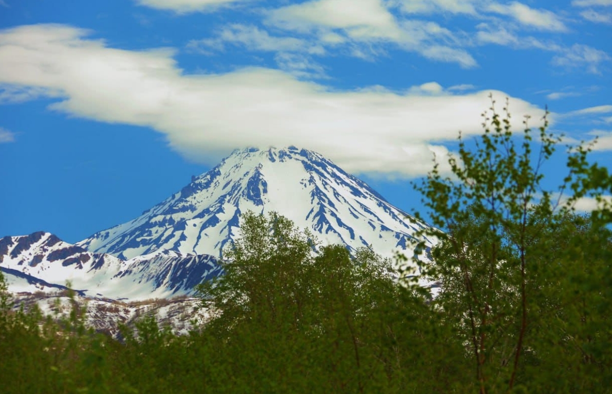 Фото организации