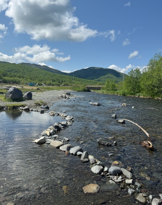 Фото организации