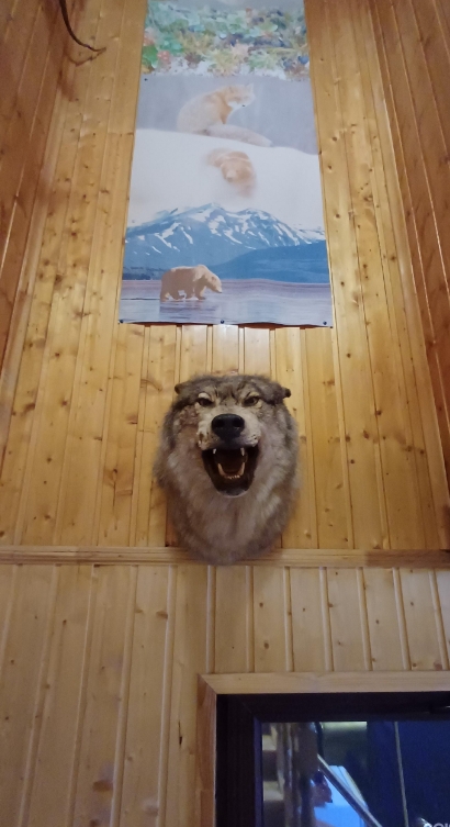 Фото организации