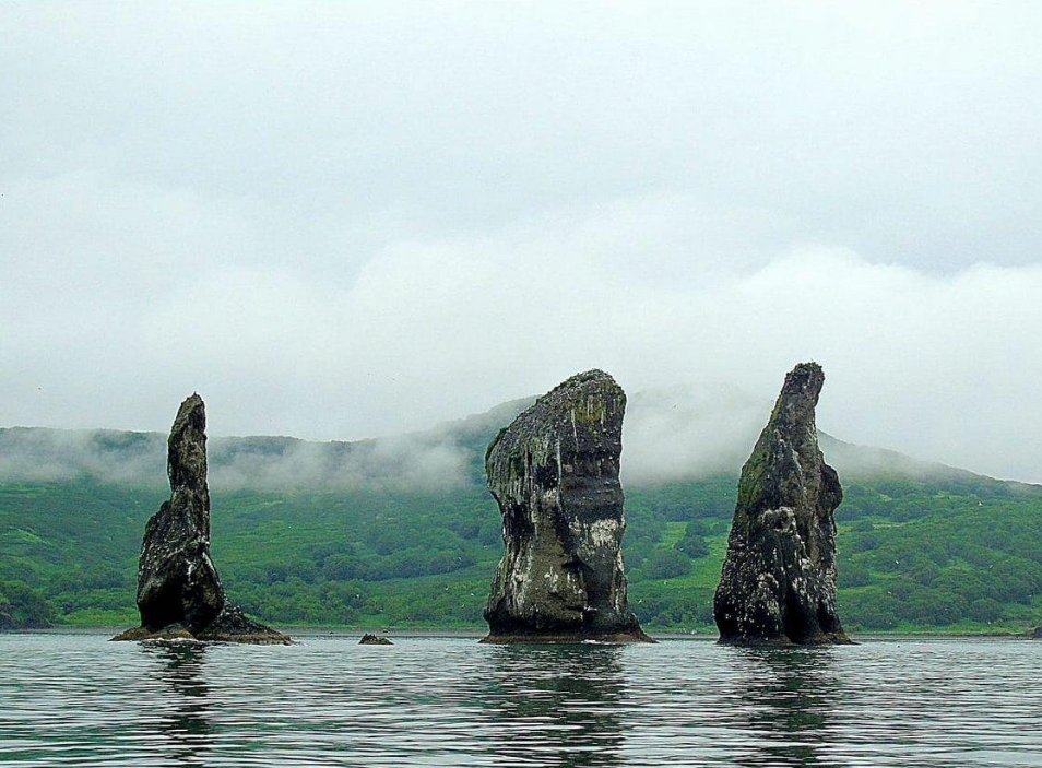 Фото организации