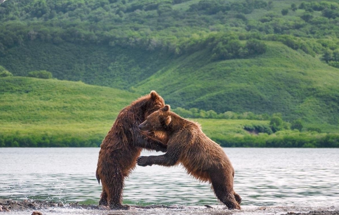 Фото организации
