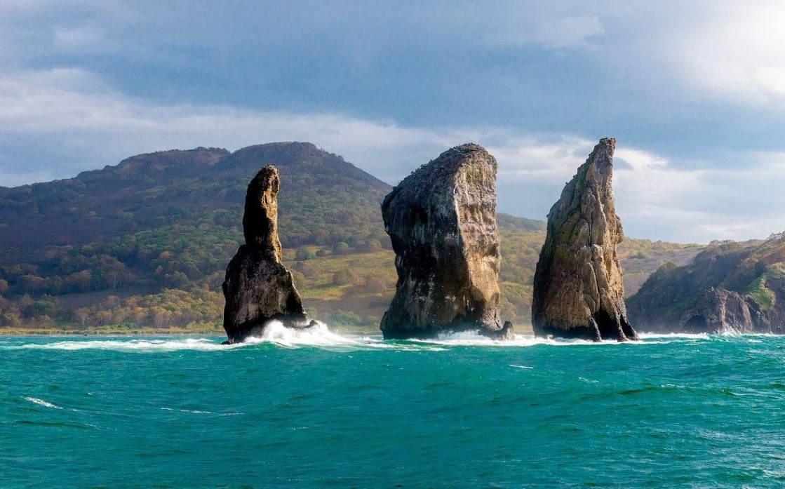 Фото организации