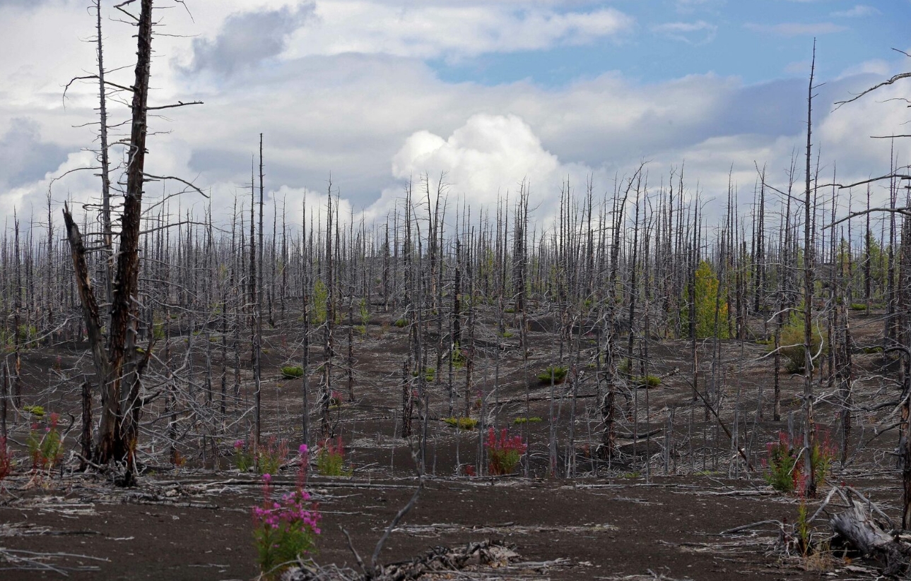 Фото организации