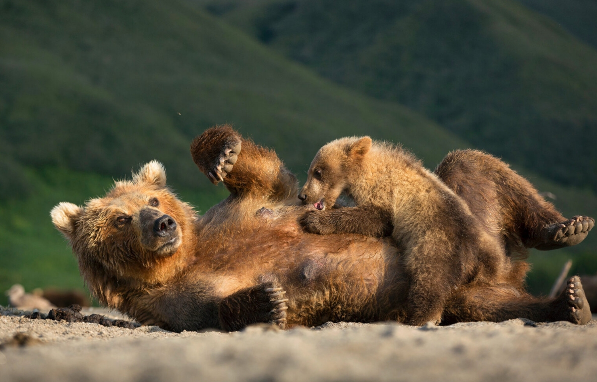 Фото организации