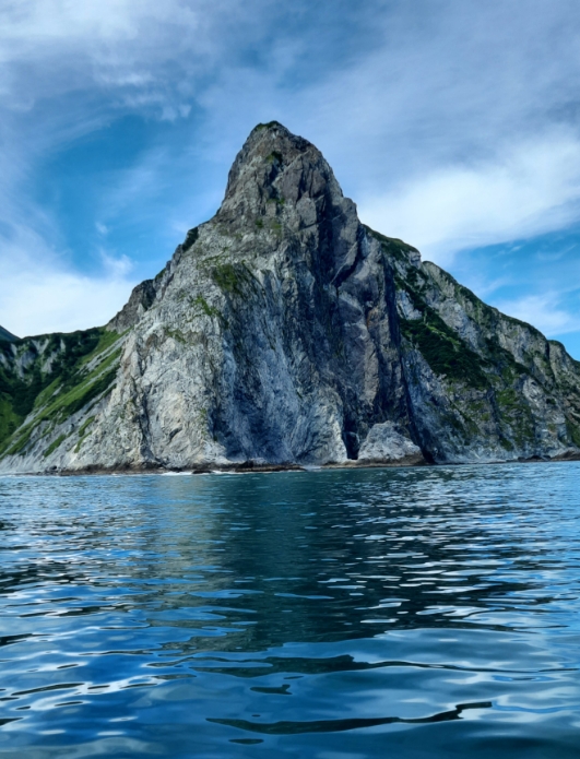 Фото организации