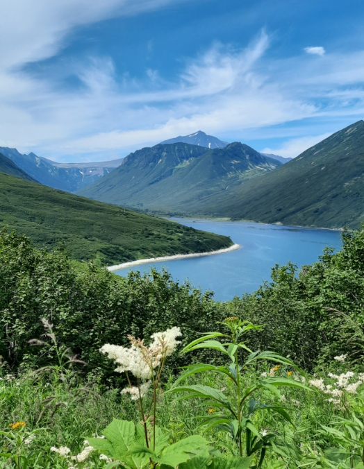 Фото организации