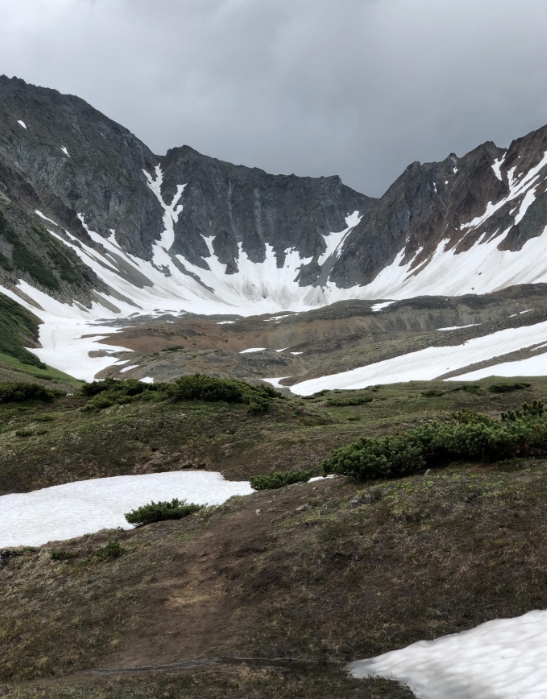 Фото организации