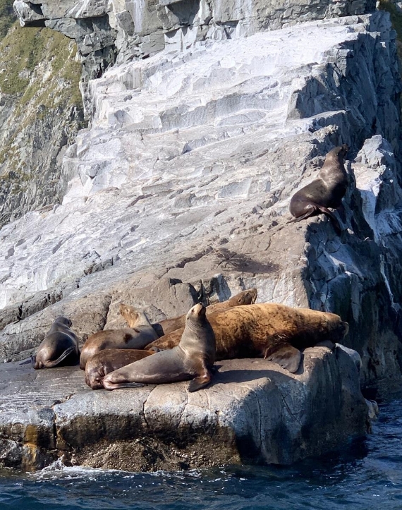 Фото организации