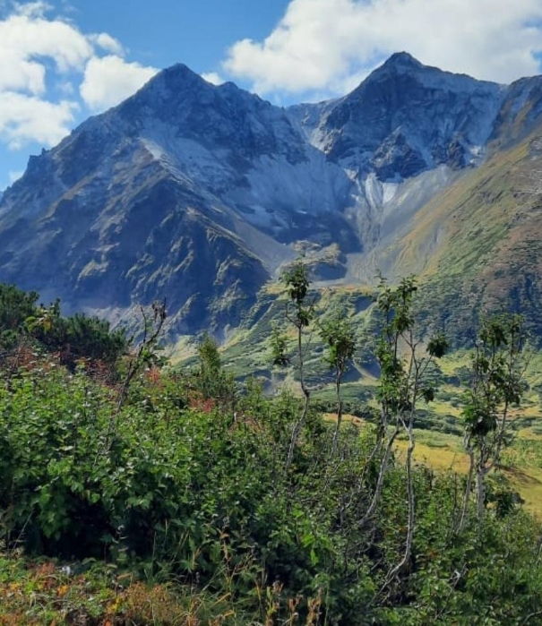 Фото организации