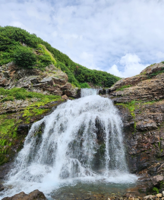 Фото организации