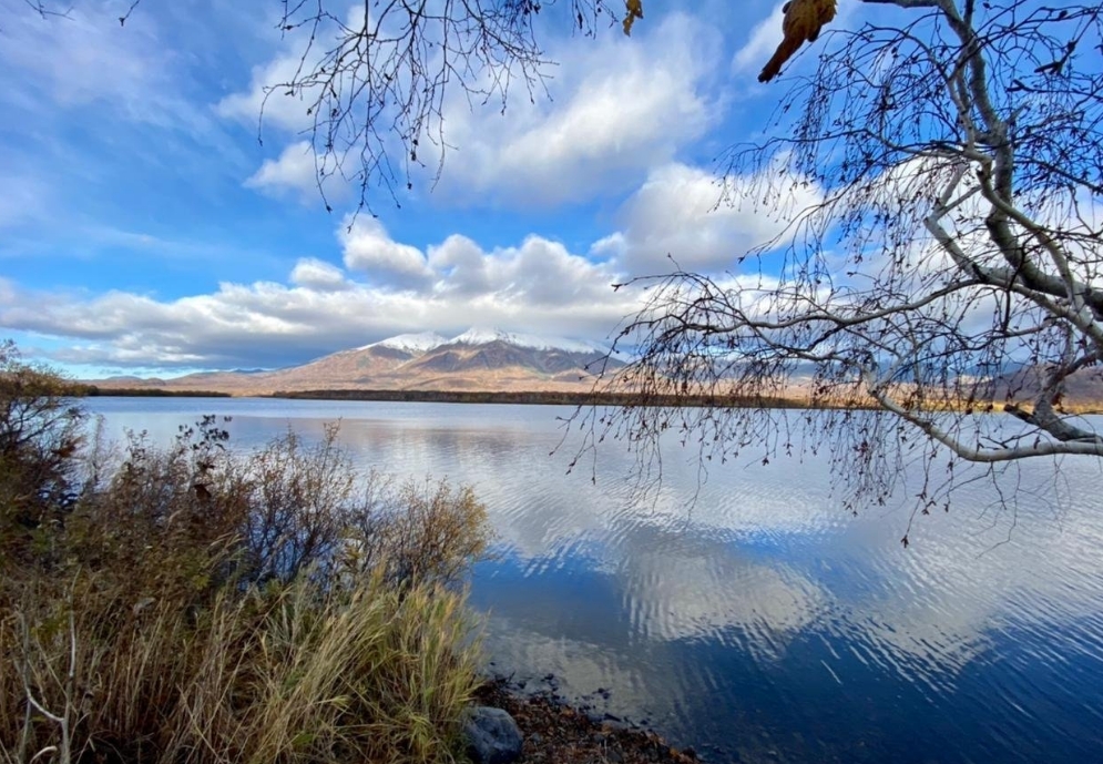 Фото организации