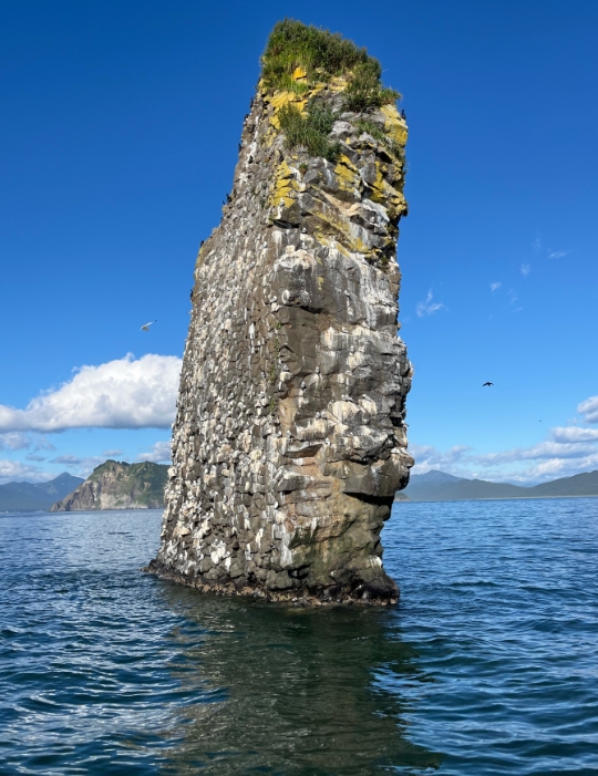 Фото организации