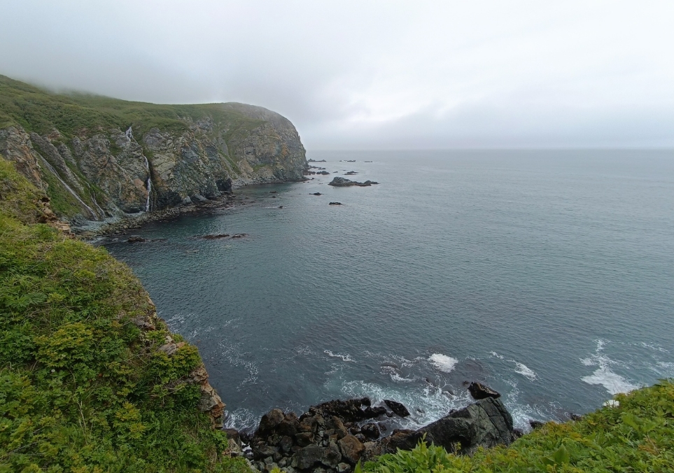 Фото организации