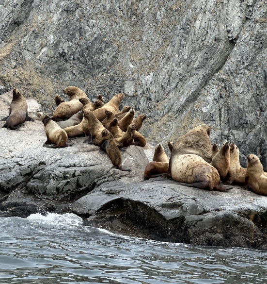 Фото организации