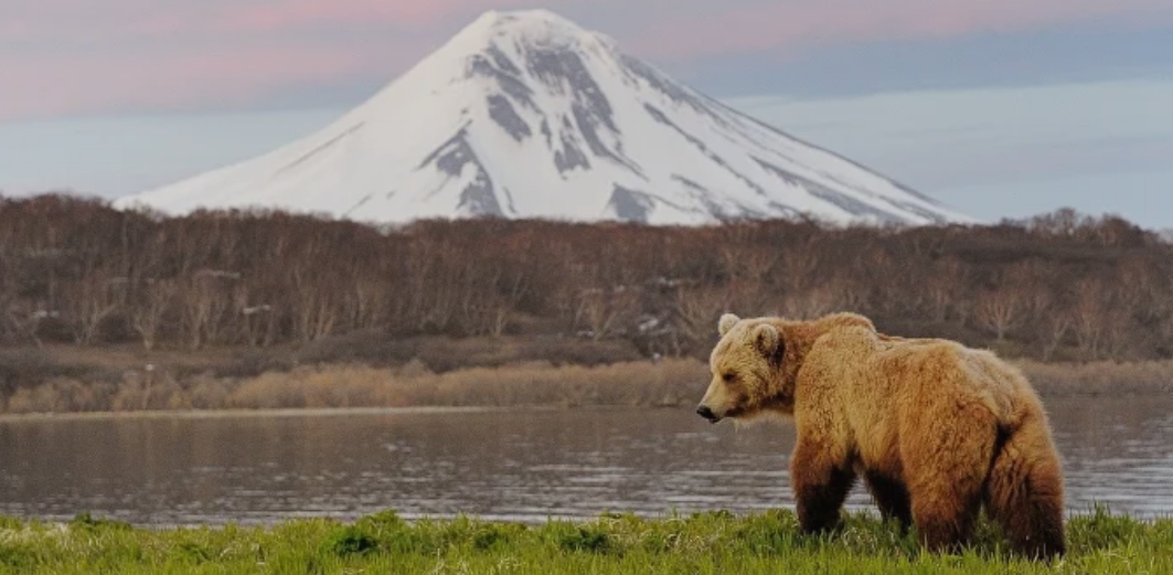 Фото организации