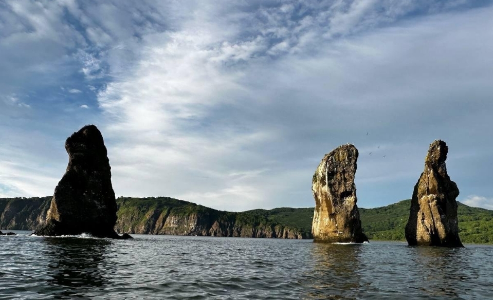 Фото организации