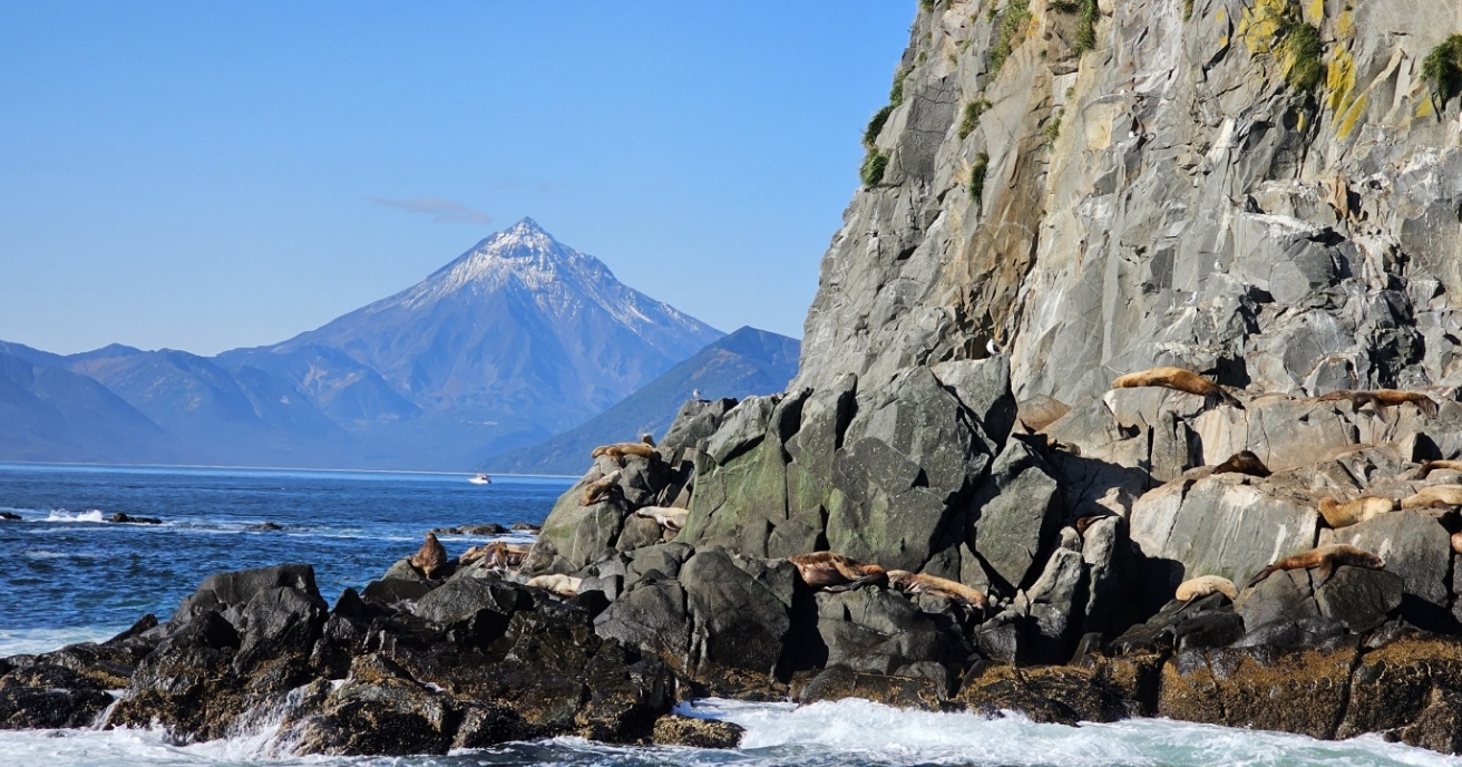 Фото организации