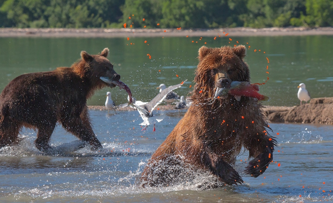 Фото организации