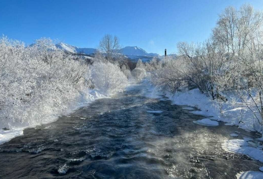 Фото организации